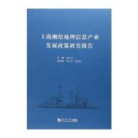 上海测绘地理信息产业发展政策研究报告