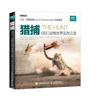 猎捕 BBC动物世界生存之战