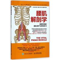 腰肌解剖学:缓解疼痛的腰肌保护与修复练习