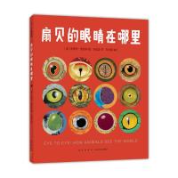 扇贝的眼睛在哪里