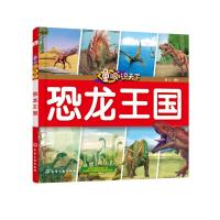 恐龙王国/童眼识天下