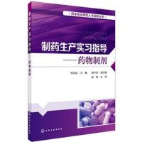 药学类应用型人才培养丛书--制药生产实习指导