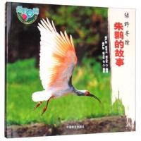 朱鹮的故事/绿野寻踪