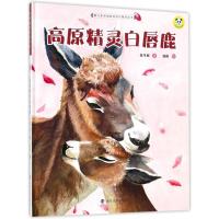 高原精灵白唇鹿