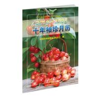 2019-2028十年袖珍月历