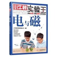 电与磁/小牛顿实验王