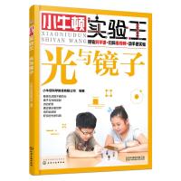 光与镜子/小牛顿实验王