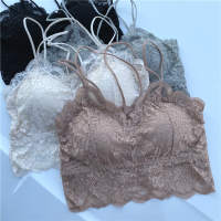 美背吊带网红bra一体式交叉带抹胸内搭性感蕾丝花边裹胸背心