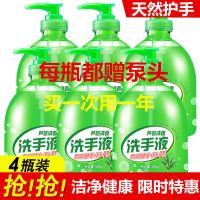 洗手液芦荟杀菌消毒抑菌500g去污油污保湿按压瓶瓶装儿童家用批发