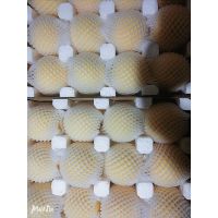 沂源福禄黄金桃上市了,高安全、口感、品质