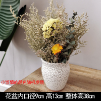 陶罐干花套装工业风摆设咖啡馆奶茶民宿餐吧服装店铺橱窗装饰摆件|干花套装25号[小雏菊]