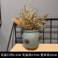 陶罐干花套装工业风摆设咖啡馆奶茶民宿餐吧服装店铺橱窗装饰摆件|干花套装6号[兔尾草]