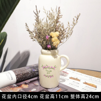 陶罐干花套装工业风摆设咖啡馆奶茶民宿餐吧服装店铺橱窗装饰摆件|干花套装11号[勿忘我]