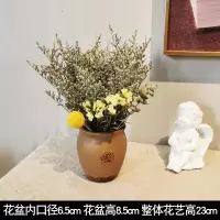 陶罐干花套装工业风摆设咖啡馆奶茶民宿餐吧服装店铺橱窗装饰摆件|干花套装4号[白色勿忘我]