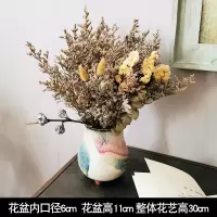 陶罐干花套装工业风摆设咖啡馆奶茶民宿餐吧服装店铺橱窗装饰摆件|干花套装22号[勿忘我]