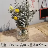 陶罐干花套装工业风摆设咖啡馆奶茶民宿餐吧服装店铺橱窗装饰摆件|透明玻璃瓶+干花