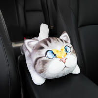 车载纸巾盒可爱多功能扶手箱挂式车内抽纸盒汽车装饰用品大全创意|3D仿真-斗眼猫灰色(送抽纸)