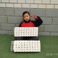 宾馆用纸小卷纸 厕所用纸 无芯实心卷纸卫生纸|宾馆100卷