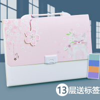 文件夹13格多层学生试卷夹小清新文件袋简约资料收纳袋风琴包报告收据收纳 家电保修卡收纳|樱花(13格)粉