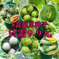 8种甜瓜各1包每包30粒+肥+生根粉 羊角蜜甜瓜种子羊角酥甜瓜种籽香瓜子密正品四季春季水果蔬菜种子