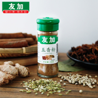 友加五香粉调料香料32g