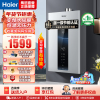 海尔(Haier)燃气热水器天然气水伺服恒温家用智能变升多重安防健康洗APP智能节能省气16L [WM5pro]