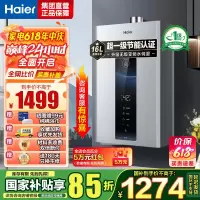 海尔(Haier)燃气热水器天然气水伺服恒温家用智能变升多重安防健康洗APP智能节能省气16L [WM5pro]