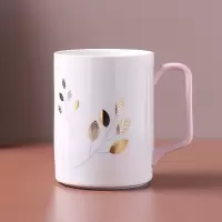 情侣漱口杯网红款套装家用陶瓷牙刷杯一对北欧创意ins刷牙杯玻璃 三维工匠 金果玻璃杯洗漱杯