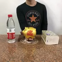 储钱罐儿童大人用家用储蓄罐女生可爱大容量只进不出不可取 三维工匠 [只进不出]6寸(长14厘米)可存储约200个硬币