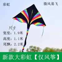 彩虹风筝三角带尾飘潍坊大型专业风筝儿童成人微风易飞初学者创意 三维工匠 新款大彩虹+25cm水晶轮+750米线