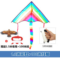 潍坊2020年新款彩虹儿童风筝微风易飞三角大型成人风筝大特大创意 三维工匠 2.8米彩虹(仅风筝)