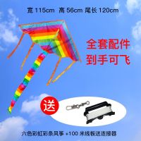 三维工匠潍坊风筝 2020新款彩虹风筝 大型微风易飞成人儿童长 2.5米彩虹+30米尾+转尾+25cm防倒转轮700