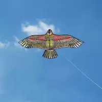 潍坊风筝儿童风筝老鹰金鹰风筝新款成人软体大型风筝微风易飞创意 三维工匠 1.6米棕鹰只要风筝