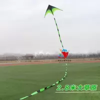 潍坊风筝大原风筝成型三角长尾风筝微风儿童小型易飞创意 三维工匠 中号风筝+10米尾巴