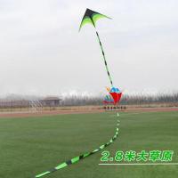 潍坊风筝大原风筝成型三角长尾风筝微风儿童小型易飞创意 三维工匠 大号风筝+30米尾巴