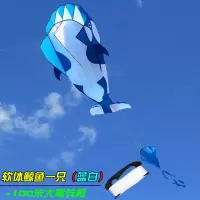 潍坊风筝 海豚风筝 鲸鱼虎鲸风筝 海洋动物新款大型成人儿童卡通创意 三维工匠 蓝白款+26轮700米线