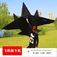 三维工匠飞鲨战斗机歼15 大型微风易飞成人儿童风筝飞机 风筝线轮创意 三维 2.8米飞鲨战斗机+28水晶轮4股1000米