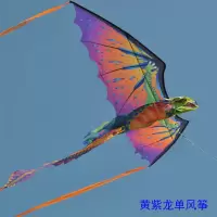 2019新款大型创意3D立体龙头翼龙恐龙成人儿童风筝线轮创意 三维工匠 平面红色翼龙单风筝