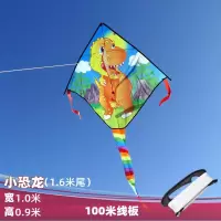 潍坊新款风筝微风易飞熊猫恐龙风筝2020儿童卡通风筝外贸出口风筝创意 三维工匠 小熊猫+便携线拐150米线