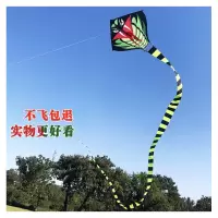 潍坊青蛇风筝 成人风筝15米/30米竹叶青蛇风筝长尾初学者微风易飞创意 三维工匠 15米长尾蛇+400米水晶轮