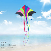 飞天彩虹风筝线轮套装潍坊小卡通初学者大型成人微风易飞儿童新款创意 三维工匠 飞天彩虹-仅风筝