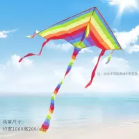 彩虹风筝带线轮套装 潍坊小卡通初学者大型成人 微风易飞儿童新款创意 三维工匠 彩虹+100米线板