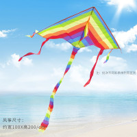 彩虹风筝带线轮套装 潍坊小卡通初学者大型成人 微风易飞儿童新款创意 三维工匠 彩虹+蓝色700米水晶镂空线轮