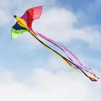 三维工匠2020新款立体风争抗大风凤凰大型成人微风易飞初学者儿童风 [26cm水晶轮+1000m粗3股线]送约1.0