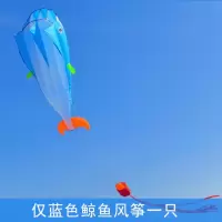 北京鲁缘软体海豚鲸鱼 金鱼 甲壳虫风筝儿童成人立体易飞创意 三维工匠 黑鲸鱼+25安全锁轮三股1000m线