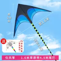 潍坊大原风筝微风易飞大型三角长尾巴初学者创意2020新款创意 三维工匠 1.6米草原风筝+4.5米尾巴+100米线板