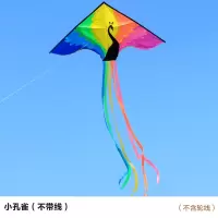 潍坊风筝成型新款孔雀七彩长尾风筝微风易飞风筝线轮创意 三维工匠 小孔雀+20蓝轮400米线