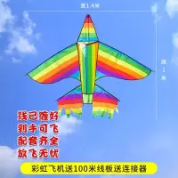 三维工匠飞机风筝大型有风微风易飞大型大特大成人儿童2019年新款2020创 2.8米黑飞机+30米尾25自动锁轮10