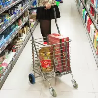 不锈钢大号买菜购物车便携手拉车可折叠小推车老年人菜篮家用拖车 三维工匠