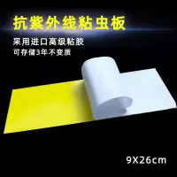 10张粘捕式灭蝇灯用粘纸粘虫板灭蝇纸蚊子苍蝇纸板粘性好 三维工匠